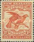 Kea (Nestor notabilis), Kaka (Nestor meridionalis)