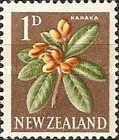 Karaka (Corynocarpus laevigatus)
