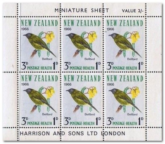 Tasman Glacier