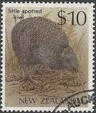 Little Spotted Kiwi (Apteryx owenii)