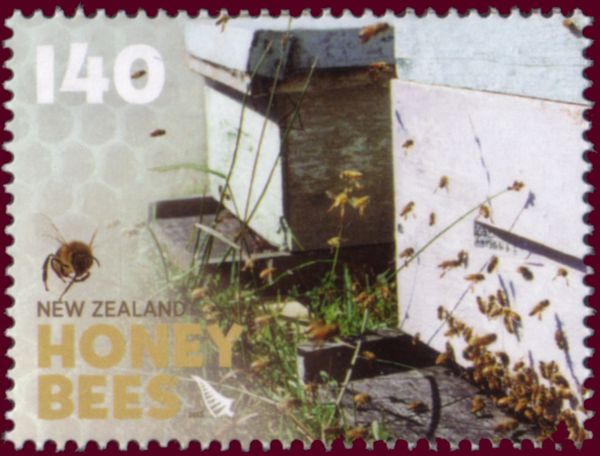 Honey Bee (Apis sp.) - returning to the Hive