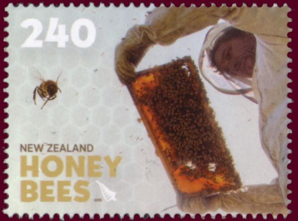 Harvesting the honey