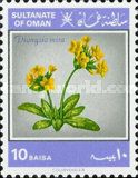 Dionysia mira