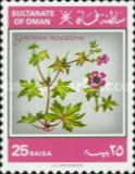 Geranium Mascatense
