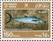 Narrow-barred Spanish Mackerel (Scomberomorus commerson)