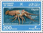 Scalloped Spiny Lobster (Panulirus homarus)