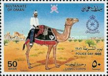 Camel Corps