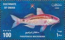 Longbarbel Goatfish (Parupeneus macronema)