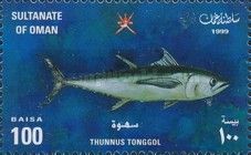 Longtail Tuna (Thunnus tonggol)