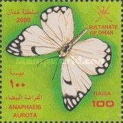African Caper White (Anaphaeis aurota)