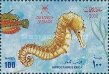 Spotted Seahorse (Hippocampus kuda)