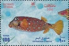 Yellow Boxfish (Ostracion cubicus)