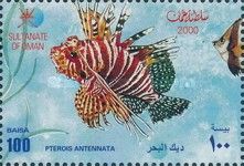 Ragged-finned Firefish (Pterois antennata)