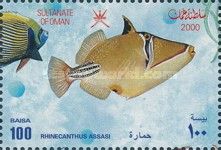 Picasso Triggerfish (Rhinecanthus assasi)