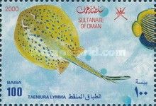 Bluespotted Ribbontail Ray (Taeniura lymma)