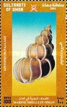 Epitoneum pallasii