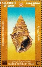 Cerithium caeruleum