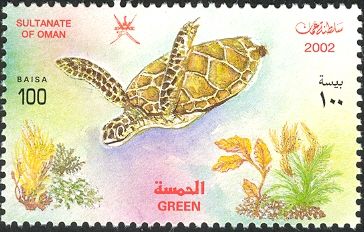 Green Sea Turtle (Chelonia mydas)