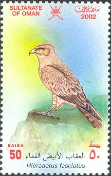 Bonelli's Eagle (Hieraetus fasciatus)