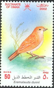 Arabian Lark (Eremalauda dunni)