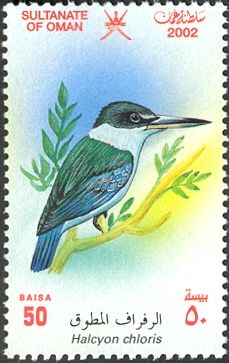 Collared Kingfisher (Halcyon chloris)