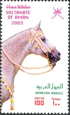Arabian Horse (Equus ferus caballus)