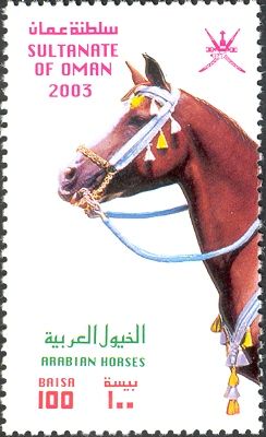 Arabian Horse (Equus ferus caballus)