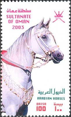 Arabian Horse (Equus ferus caballus)