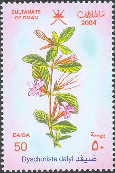 Dyschoriste dalyi