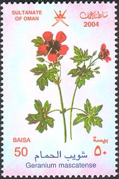 Geranium mascatense