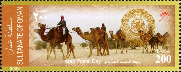 Dromedary (Camelus dromedarius) - Caravan