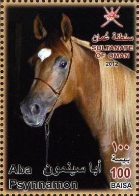 Arabian Horse (Equus ferus caballus) - "Aba Psynnamon"