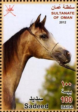 Arabian Horse (Equus ferus caballus) - "Sadeed"