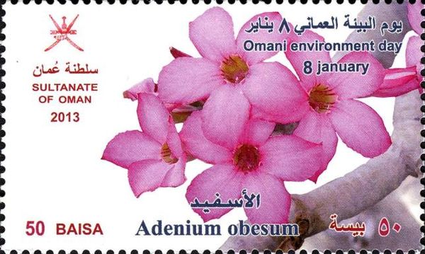 Adenium obesum