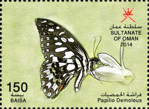 Checkered Swallowtail (Papilio demoleus)