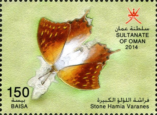 Stone Hamia varanes