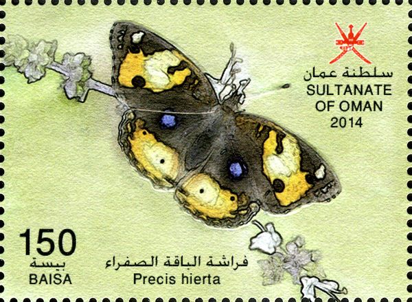 Yellow Pansy (Precis hierta)