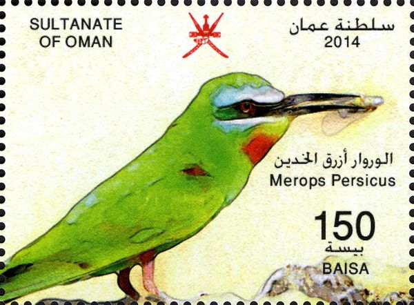 Blue-cheecked Bee-eater (Merops persicus)