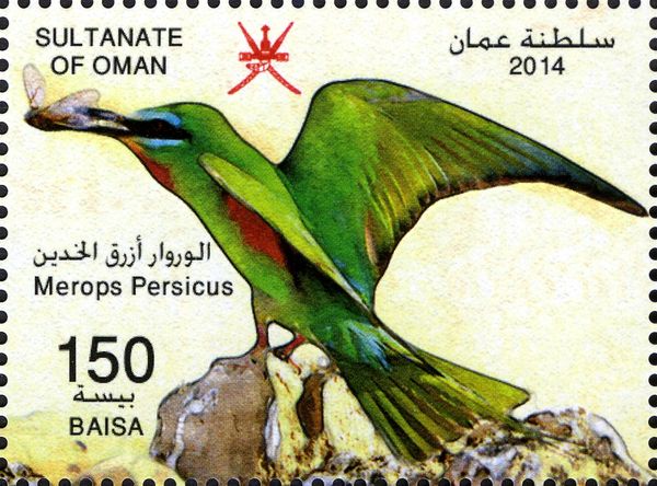 Blue-cheecked Bee-eater (Merops persicus)