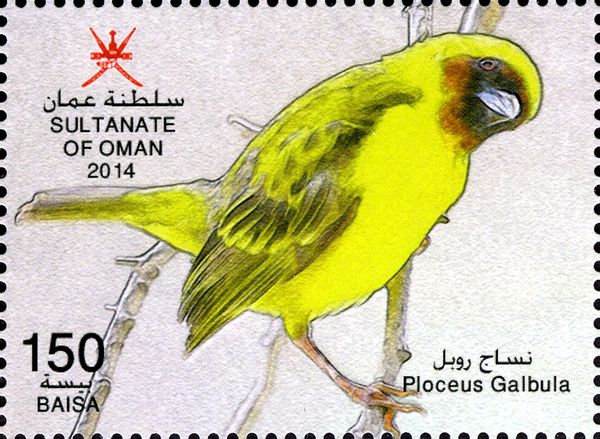Rüppell's Weaver (Ploceus galbula)