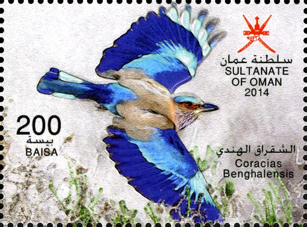 Indian Roller (Coracias benghalensis)