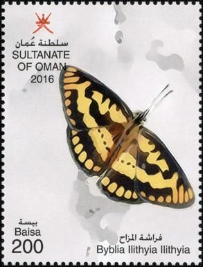 Joker (Byblia ilithyia)
