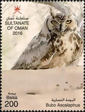 Pharaoh Eagle Owl (Bubo ascalaphus)