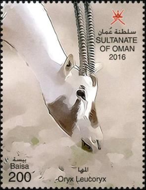 Arabian Oryx (Oryx leucoryx)