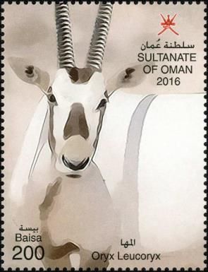 Arabian Oryx (Oryx leucoryx)