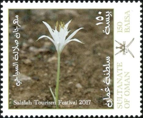 White Flower