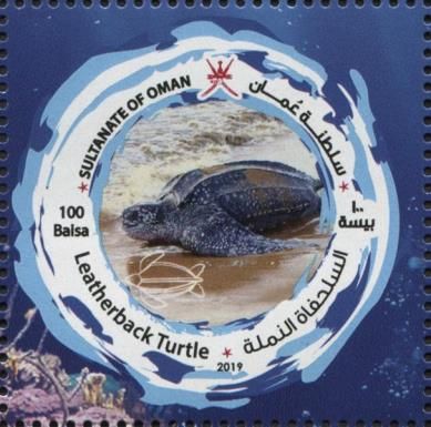 Leatherback Sea Turtle (Dermochelys coriacea)