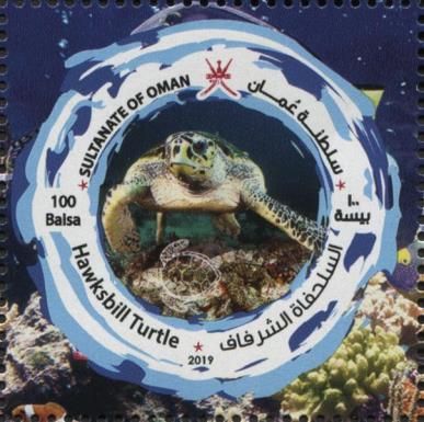 Hawksbill Sea Turtle (Eretmochelys imbricata)