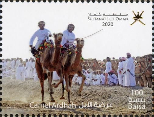 Camel Ardhah