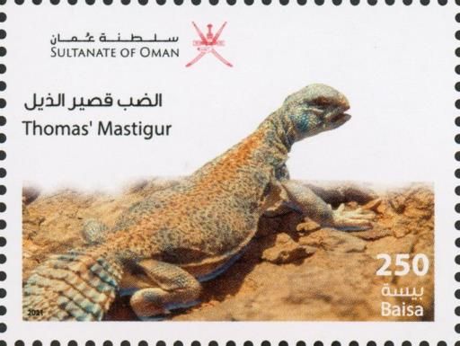 Thomas' Mastigur (Uromastyx thomasi)